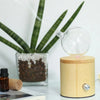 20ML Oil Diffuser Higher Atomizing and Diffusing Efficiency Bamboo Base Glass Nebulizing Essential Aromatherapy Scent for Home