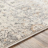 Area Rugs,12x15 Geelbroek Traditional Tan/Ivory Area Rug,Grey Brown Beige Carpet for Living Room,Bedroom or Kitchen(11'6" x 15')