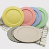 12 Pcs 10 Inch Lightweight Wheat Straw Plates Dinner Plates,Plastic Plates Reusable,Dinnerware Sets