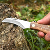 Multifunctional stainless steel folding  brush outdoor mini mushroom knife EDC wooden handle sharp camping hunting survival