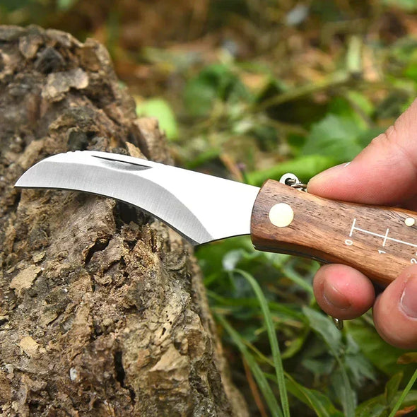 Multifunctional stainless steel folding  brush outdoor mini mushroom knife EDC wooden handle sharp camping hunting survival