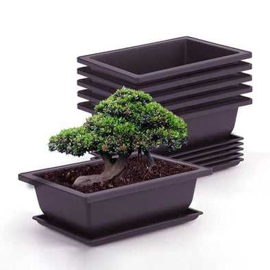 Training Pots Flowerpots Imitation Succulent Plants Pots Plastic Bonsai Pots Outdoor Garden Landscape Potted Square Trays